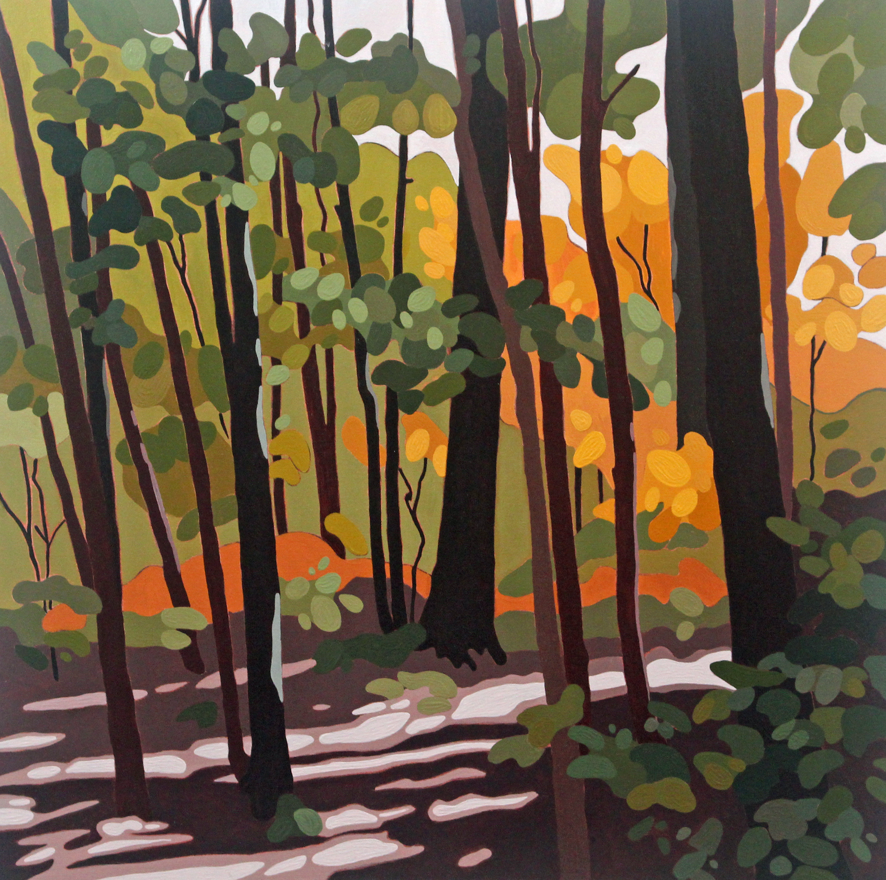 Forest Light, 2020, 24 x 24, Acrylic on Canvas
